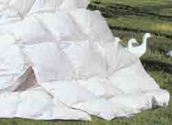 Down Canadian Duvets. Great Prices!!