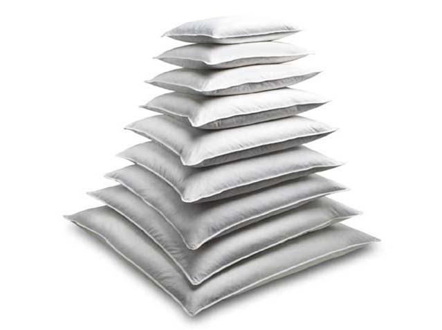 Cushion Forms Synthetic or Feather Filled $6.98 to $18.98
