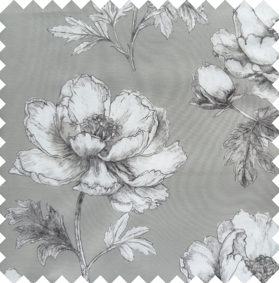 Camelia 3